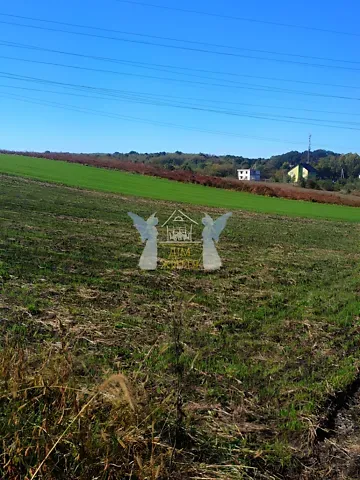 Продажа земельного участка  площадь 54 сот Лісна бічна вулиця  - изображение 8