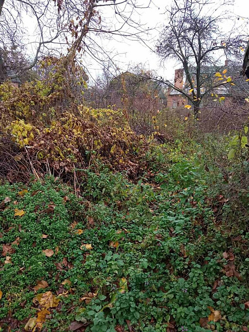 Продаж земельної ділянки 16 соток на Івана Пулія Vinnytsya - photo 2