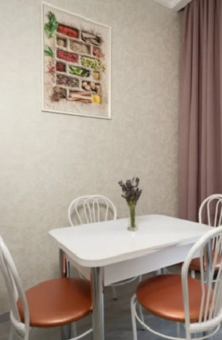 Оренда Квартира 1-кімнатна, 14/24 поверх на Курортный пер., 1 Одеса - фото 4