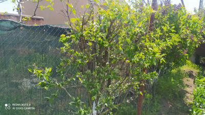 Продаж земельної ділянки 0.1 соток на ул. Хаджибеевская, 29 Нерубайське - фото 19