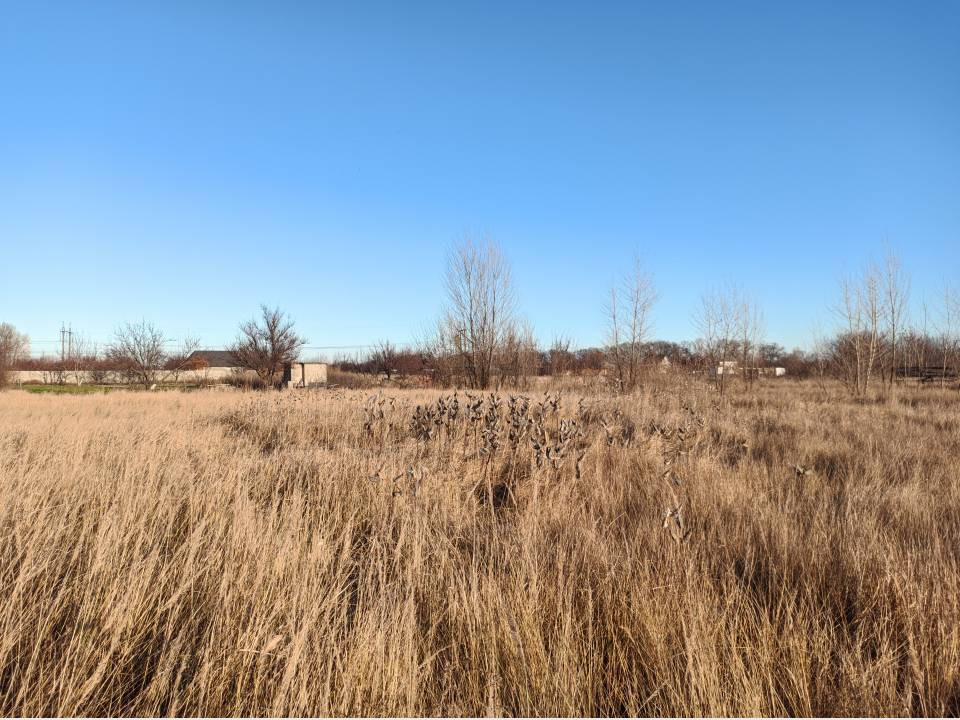 Продаж земельної ділянки на , Коржова Слобода - фото 2