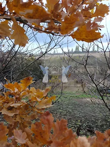 Продажа земельного участка  площадь 6 сот Зелена вулиця 1  - изображение 1