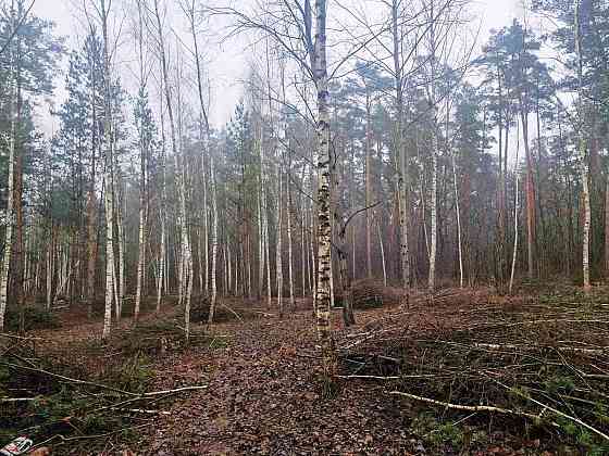 Продаж земельної ділянки 24 соток 