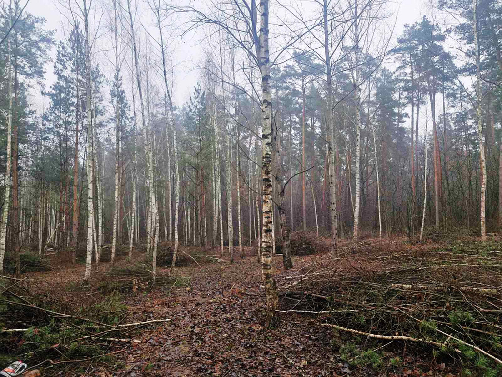 Продаж земельної ділянки 24 соток  - фото 5