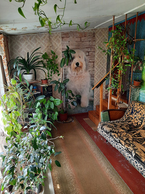 Дом с гаражом в центре Таирова! Одеса - фото 7