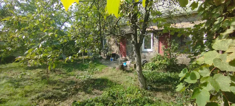 Продаж 1-поверховий Будинок з ділянкою 6 сот 75 кв.м 3 кімн. на Грушевського Ужгород - фото 8