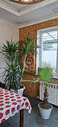 Продається півбудинку в Борисполі Борисполь