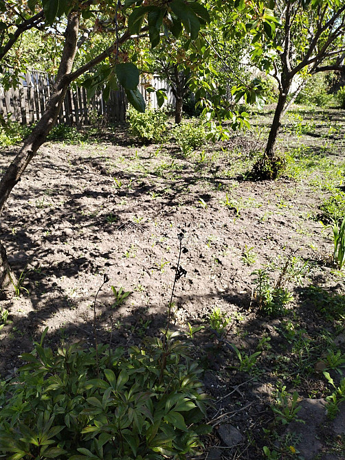 Продаж Будинок 4-кімнатний на вул. ?  - фото 7