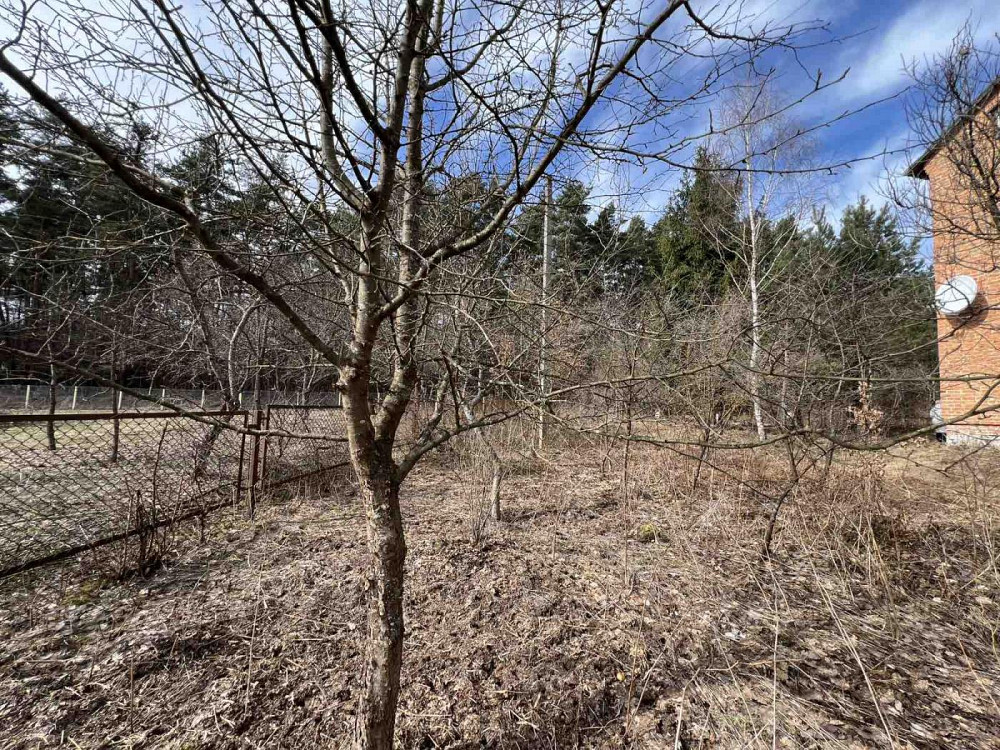 Продаж земельної ділянки 53 соток на вул. Шевченка Rodatychi - photo 4