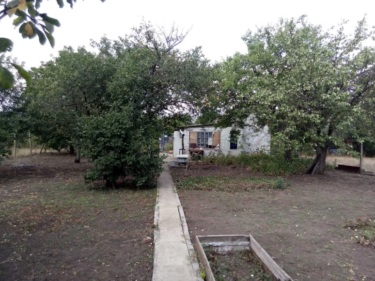 Продам дачу на берегу Хаджибеевского лимана (р-н с.Палиево) Єгорівка - фото 2