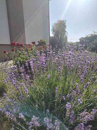 Продаж 2-поверховий Будинок з ділянкою 5 сот 194 кв.м 4 кімн. на Успенська вул. Сокільники