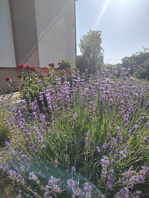 Продаж 2-поверховий Будинок з ділянкою 5 сот 194 кв.м 4 кімн. на Успенська вул. Сокильники - изображение 5