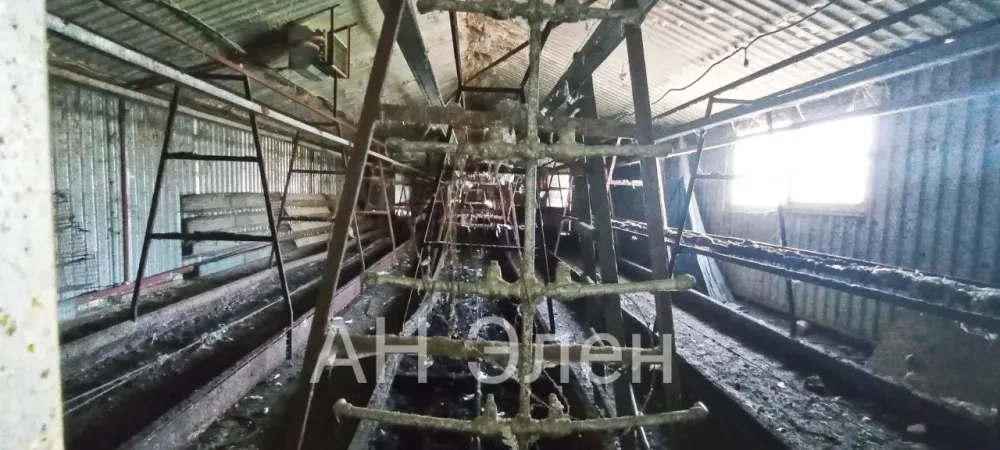 Продажа Помещение свободного назначения площадь 539 кв.м 1-й этаж на Фонтанка Одесса - изображение 10