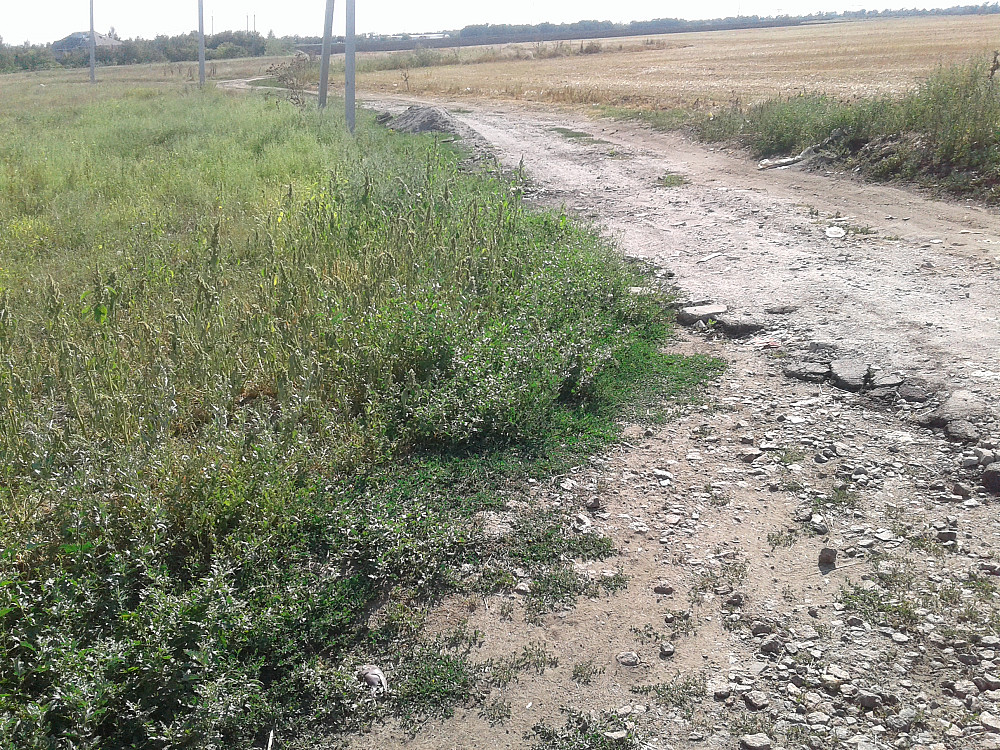 Продаж земельної ділянки 25 соток на ул. Массив ?, 57 Усатове - фото 1