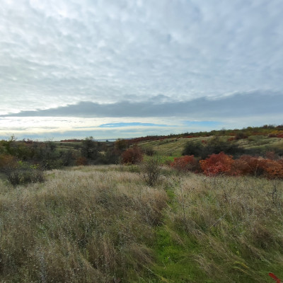 Продаж земельної ділянки 0 соток на ул. Массив 36, 6 Августівка - фото 13