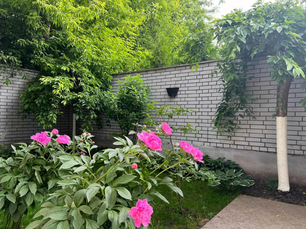 Продаж Будинок  - изображение 19