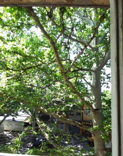 Продам 1 комнатную квартиру  по ул.Б.Хмельницкого, рядом Привоз. Odessa - photo 18