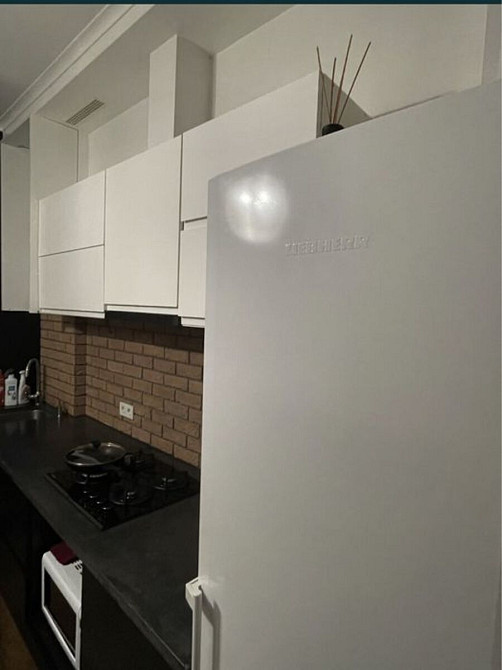 Оренда Квартира 1-кімнатна, 2/6 поверх на ул. Мечникова, 10/2 Киев - изображение 13