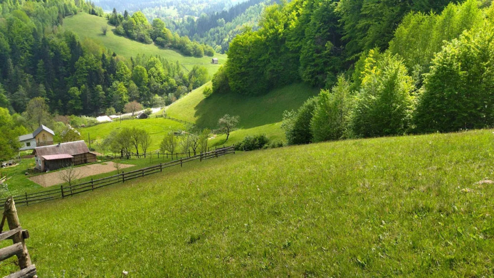 Продаж Будинок Болехів - фото 4