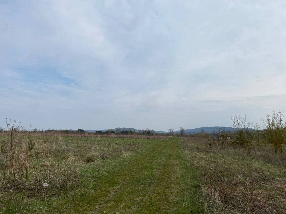 Продаж земельної ділянки 14 соток на мельника вячеслава  - изображение 5