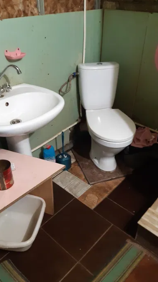 Продам дом с газом и удобствами в Овидиополе (40 км от Одессы) Ovidiopol - photo 14