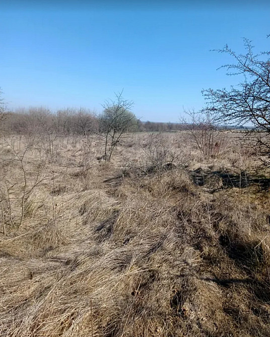 Продаж земельної ділянки 8 соток  - фото 10