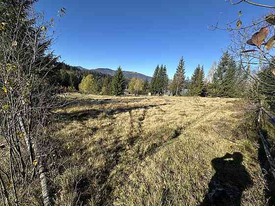 Продаж земельної ділянки 18.38 соток Микуличин