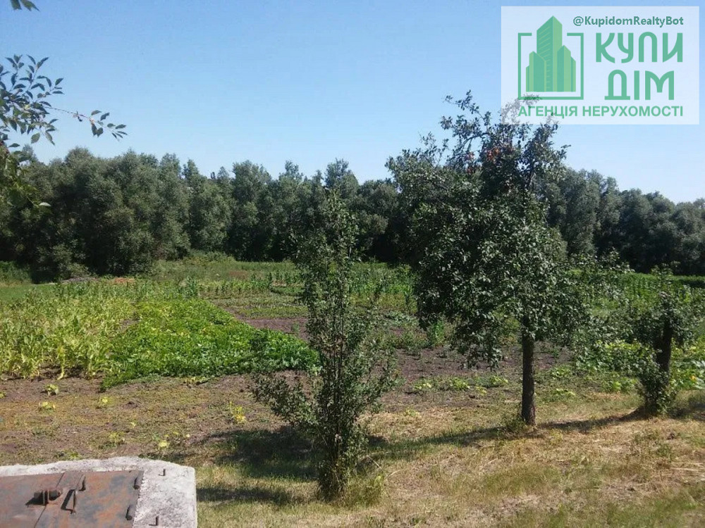 Продається будинок в с.Веселівка Кропивницький - фото 5