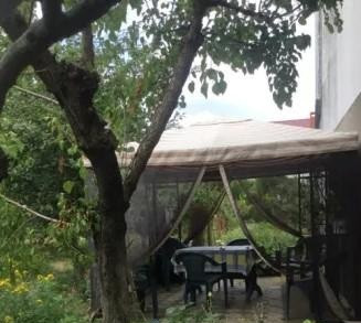 Продам дом 160 м² в СК "Заря", с. Молодёжное, участок с садом Молодіжне - фото 5