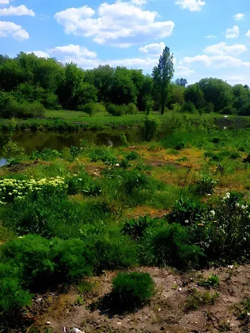 For sale land plot  area 40 ares Будного вулиця  - photo 2