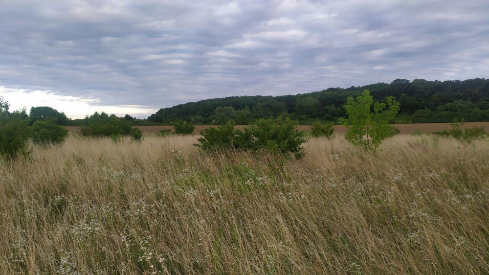 Продаж земельної ділянки 8 соток Ямпіль - фото 7