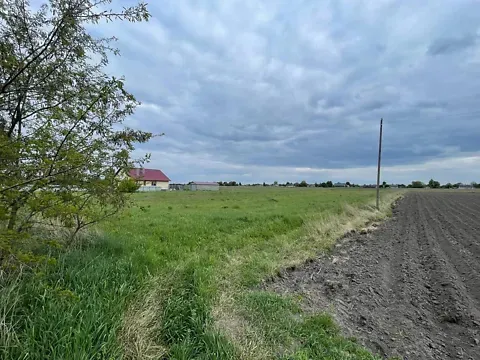 Продаж земельної ділянки Для будівництва приватного житлового будинку площа 46 сот вул. Миру у с. Борохів. Луцьк - фото 11