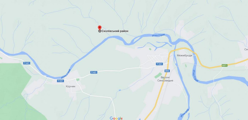 Продаж земельної ділянки 2.2 га на вул. Січових Стрільців Верхнє Синьовидне - фото 6