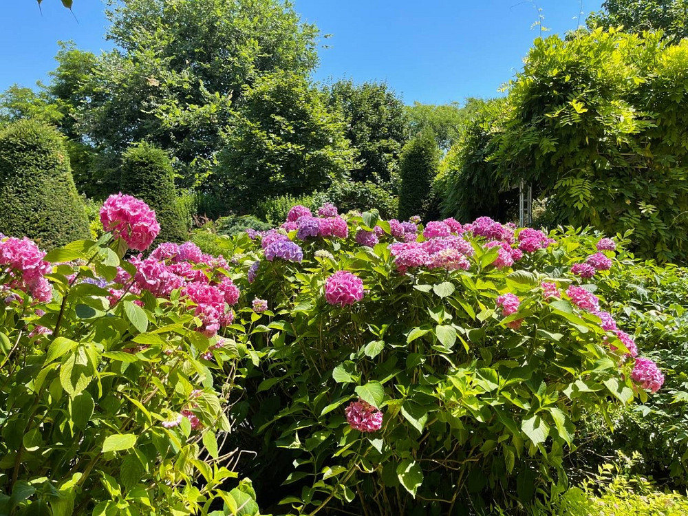 Продаж Будинок на Большой Фонтан / Фонтанская Дорога Odessa - photo 12