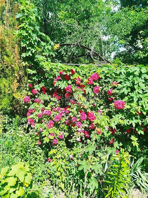 Продаж Будинок 4-кімнатний на вул. Соколовська Kharkiv - photo 7