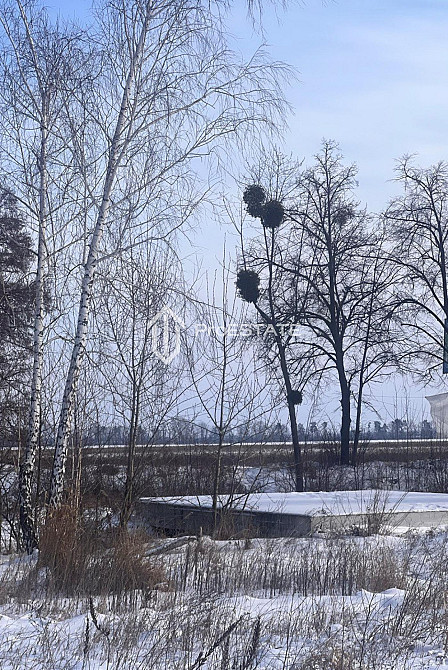 Продаж земельної ділянки 2 га Hnidyn - photo 10