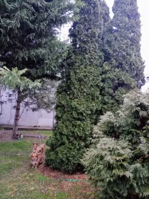 Продаж Будинок Днепр - изображение 14