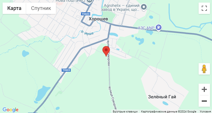 Продаж 1-поверховий Будинок з ділянкою 40 сот 70 кв.м 2 кімн. на Грушки Житомир - изображение 1