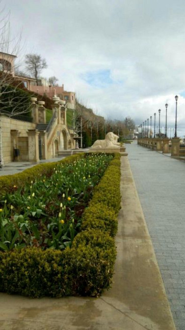 Дом у моря, Фонтан/Золотой берег Одеса - фото 12