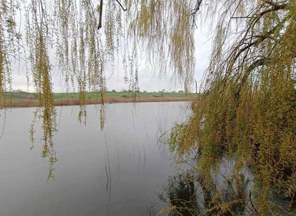 Дом у реки с камином и сауной, Великий Дальник. Великий Дальник - фото 1