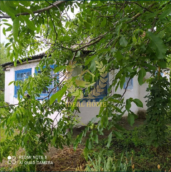 Продається будинок у селі Карапиші  - фото 6