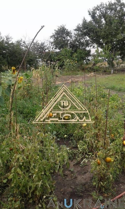 Продается большой дом на Черемушках Odessa - photo 5