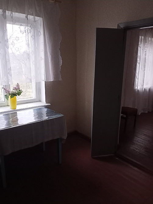 Предлагаем к продаже  дома в Троицком Новотроїцьке (Любашівський район) - фото 1