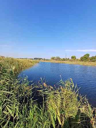 Продаж Будинок Черняхівка