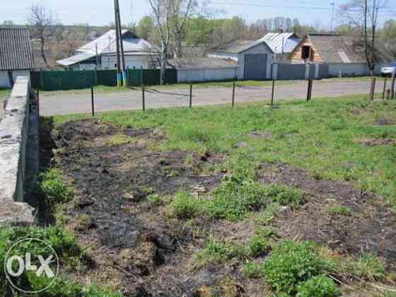 Продаж земельної ділянки 20 соток 