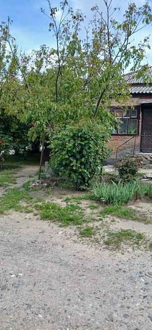 Продам 2 кімн. квартиру в приватному секторі. Кропивницький - фото 17