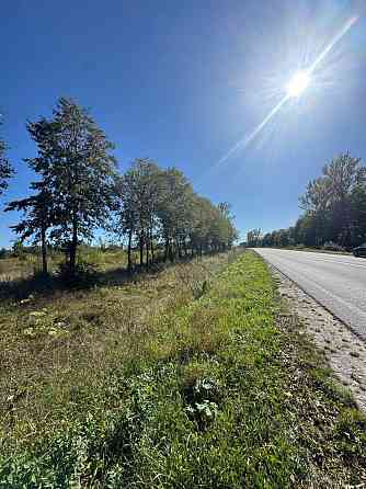 Продаж земельної ділянки 1.1 га Tsutsyliv