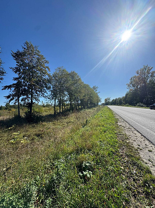 Продаж земельної ділянки 1.1 га Tsutsyliv - photo 4