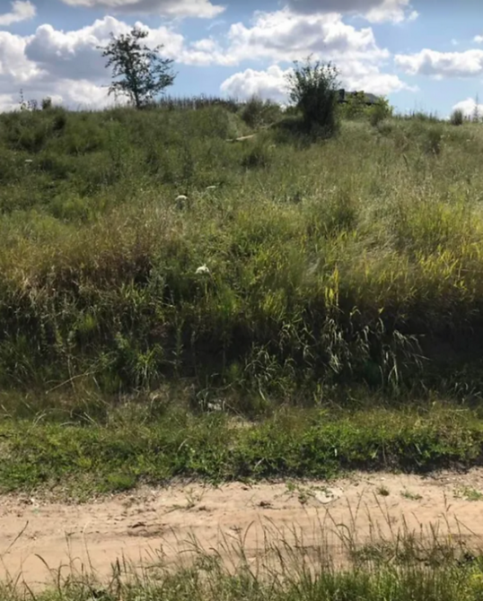 Продаж земельної ділянки 10 соток Тернополь - изображение 2