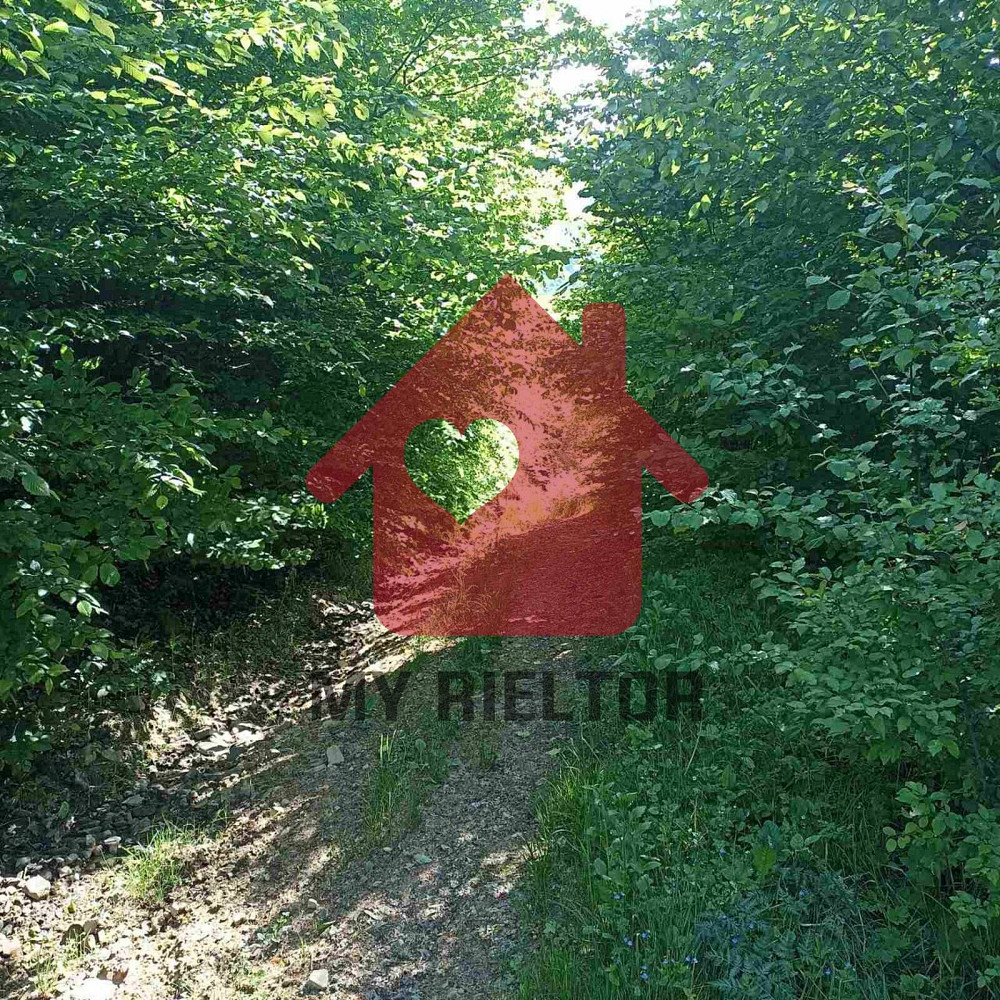 Продаж земельної ділянки 45 соток  - photo 5